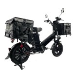 Export 16 double electric double take-out box front and rear oil dish performance version of high-power electric bicycle